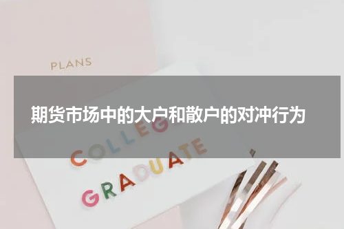  期货市场中的大户和散户的对冲行为