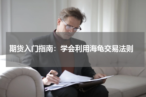  期货入门指南：学会利用海龟交易法则