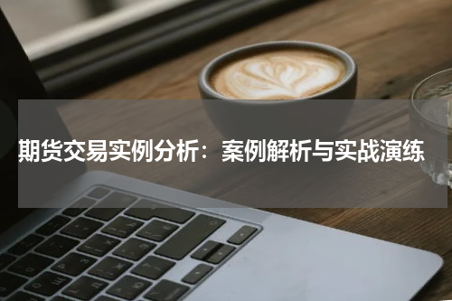  期货交易实例分析：案例解析与实战演练