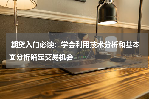  期货入门必读：学会利用技术分析和基本面分析确定交易机会