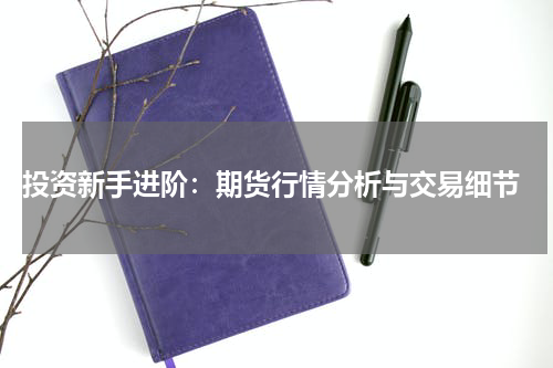  投资新手进阶：期货行情分析与交易细节