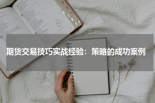  期货交易技巧实战经验：策略的成功案例