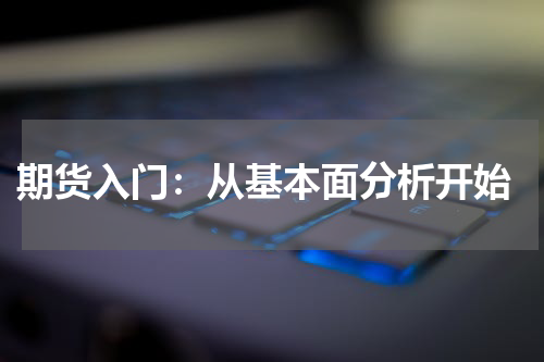  期货入门：从基本面分析开始