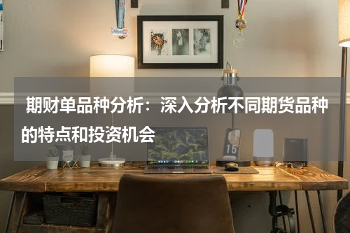  期财单品种分析：深入分析不同期货品种的特点和投资机会