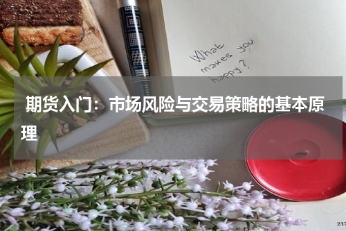  期货入门：市场风险与交易策略的基本原理