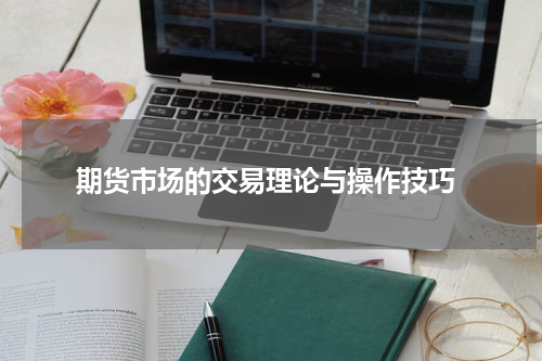  期货市场的交易理论与操作技巧