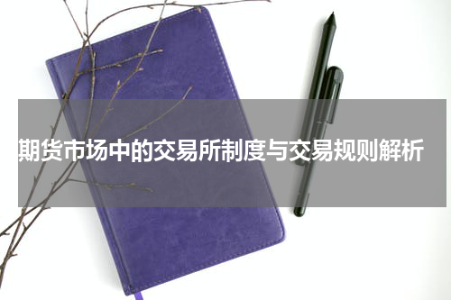  期货市场中的交易所制度与交易规则解析
