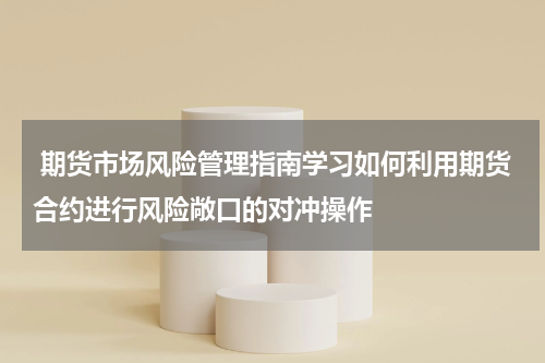  期货市场风险管理指南学习如何利用期货合约进行风险敞口的对冲操作
