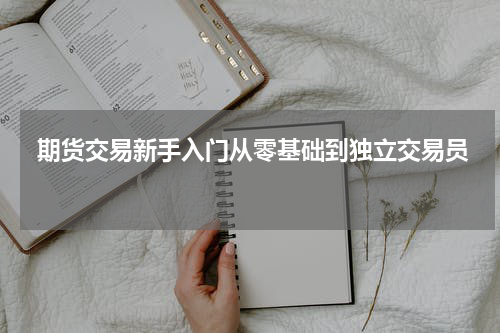 期货交易新手入门从零基础到独立交易员 