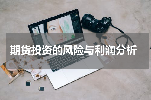  期货投资的风险与利润分析