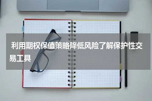  利用期权保值策略降低风险了解保护性交易工具