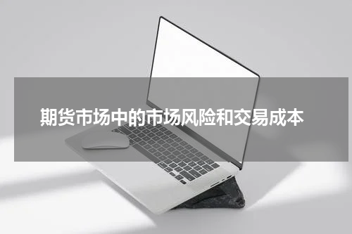  期货市场中的市场风险和交易成本