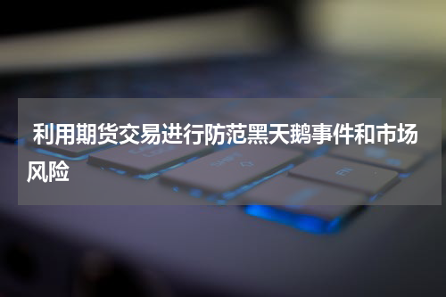  利用期货交易进行防范黑天鹅事件和市场风险