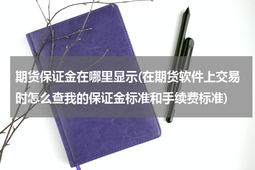 期货保证金在哪里显示(在期货软件上交易时怎么查我的保证金标准和手续费标准)