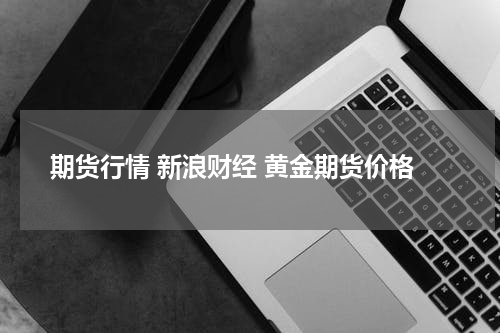 期货行情 新浪财经 黄金期货价格