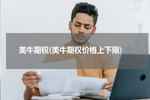 美牛期权(美牛期权价格上下限)