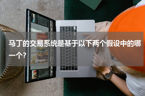 马丁的交易系统是基于以下两个假设中的哪一个？