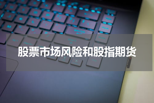 股票市场风险和股指期货