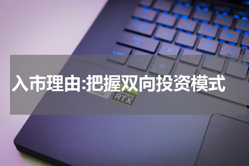 入市理由:把握双向投资模式