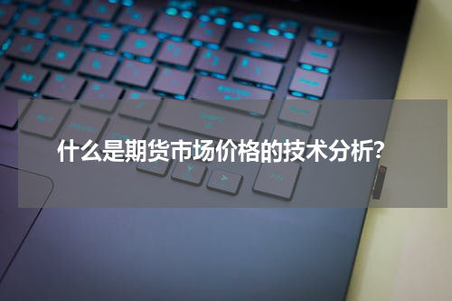 什么是期货市场价格的技术分析？