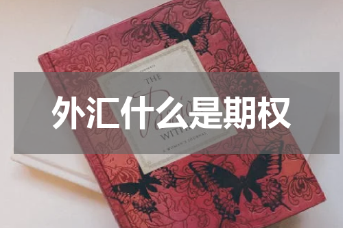 外汇什么是期权