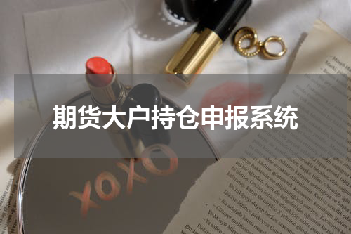 期货大户持仓申报系统