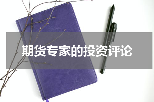 期货专家的投资评论