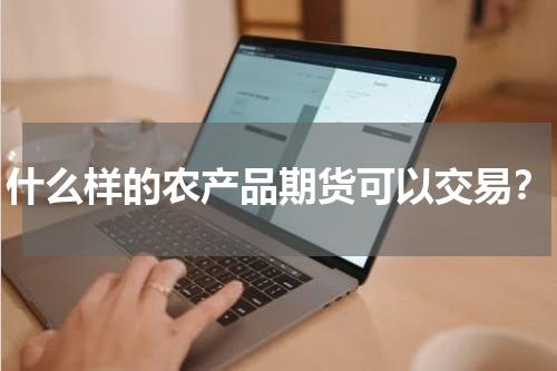 什么样的农产品期货可以交易？