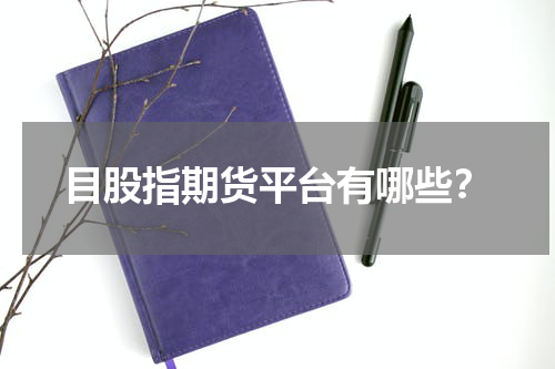 目股指期货平台有哪些？