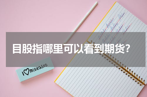 目股指哪里可以看到期货？