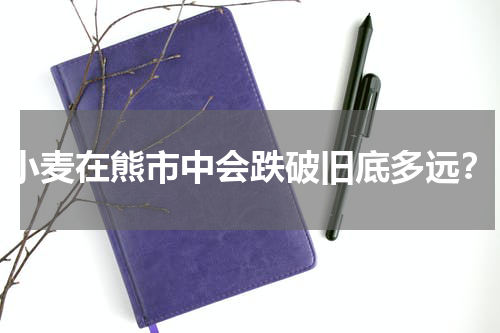 小麦在熊市中会跌破旧底多远？