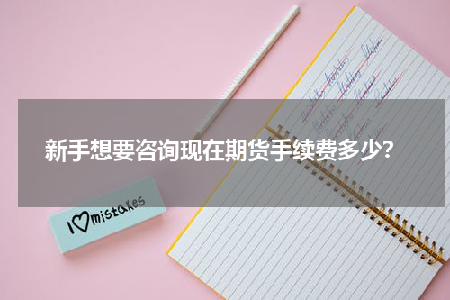 新手想要咨询现在期货手续费多少？