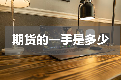 期货的一手是多少