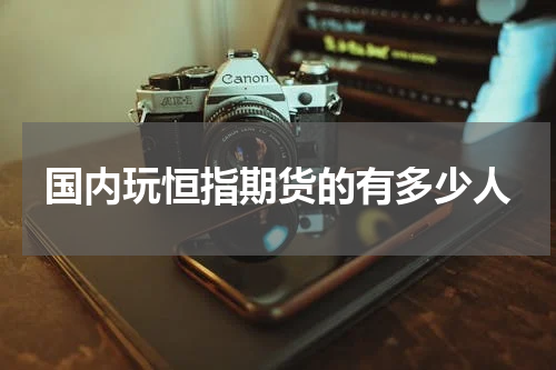 国内玩恒指期货的有多少人