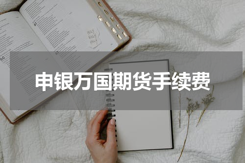 申银万国期货手续费