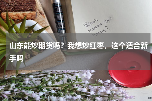 山东能炒期货吗？我想炒红枣，这个适合新手吗