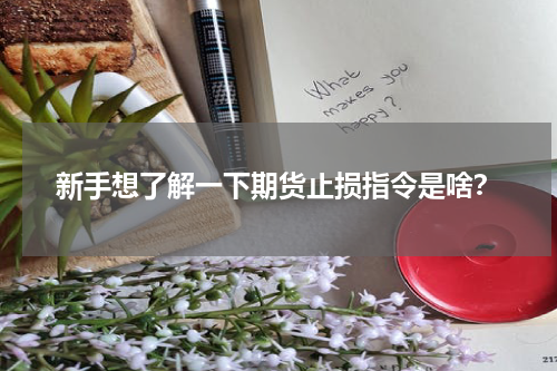新手想了解一下期货止损指令是啥？