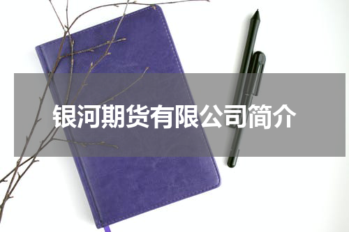 银河期货有限公司简介