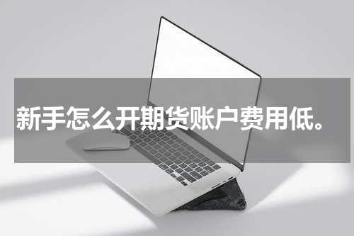 新手怎么开期货账户费用低。