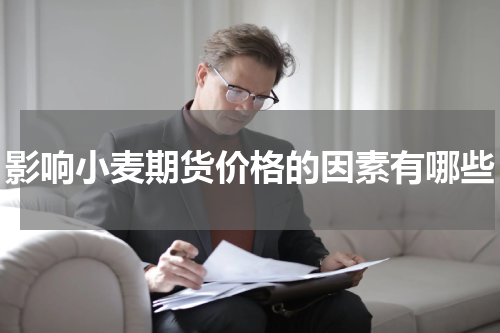 影响小麦期货价格的因素有哪些