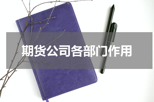期货公司各部门作用