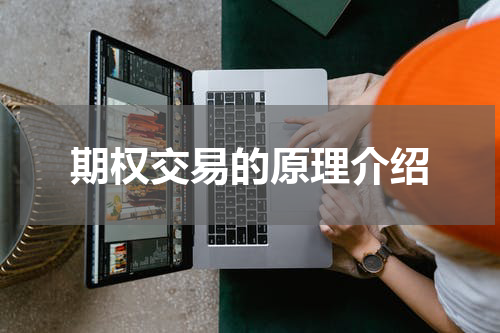 期权交易的原理介绍