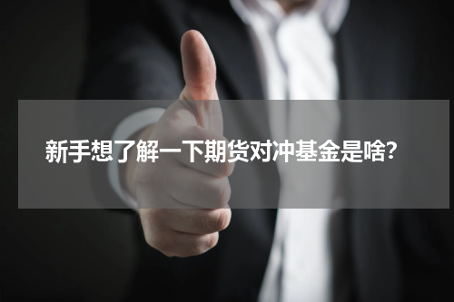 新手想了解一下期货对冲基金是啥？