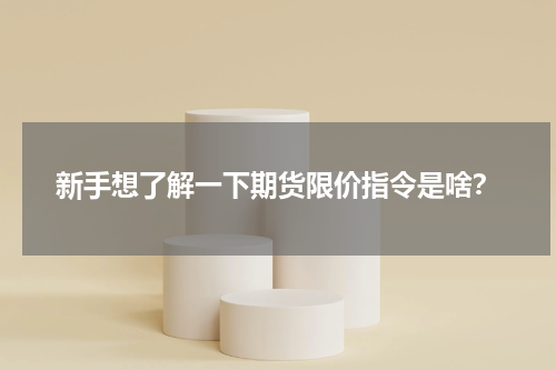 新手想了解一下期货限价指令是啥？