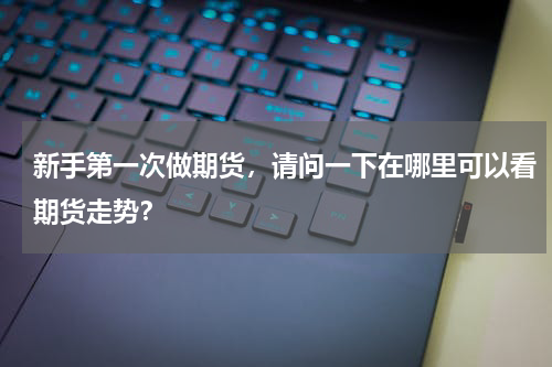 新手第一次做期货，请问一下在哪里可以看期货走势？