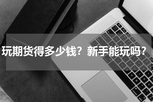 玩期货得多少钱？新手能玩吗？