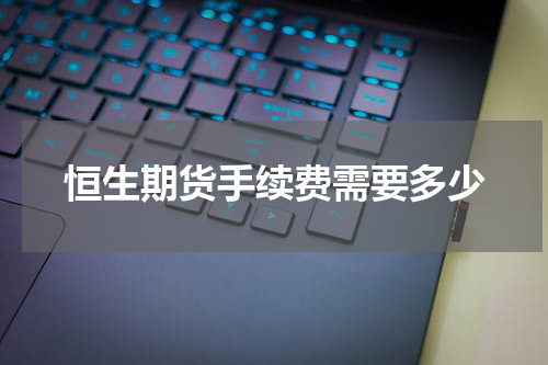 恒生期货手续费需要多少