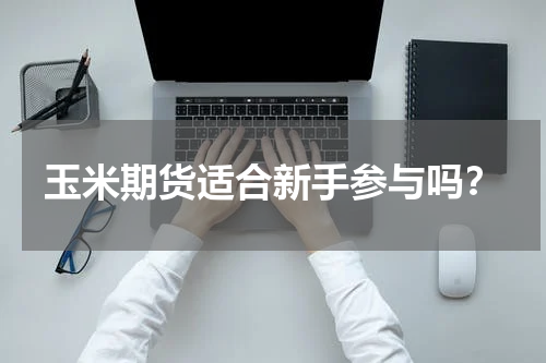 玉米期货适合新手参与吗？
