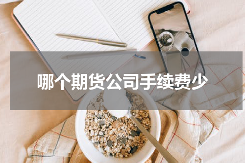 哪个期货公司手续费少