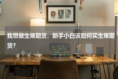 我想做生猪期货，新手小白该如何买生猪期货？